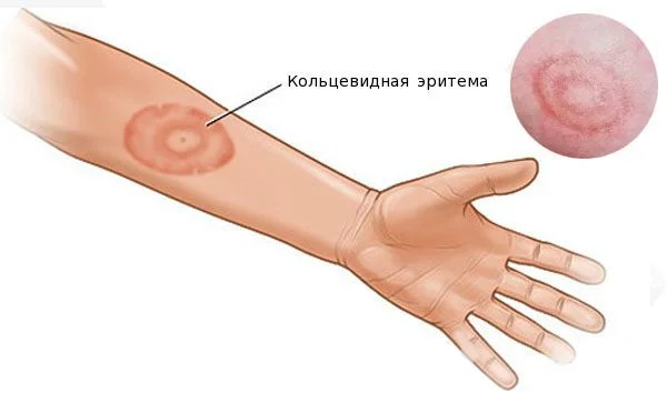 WhatsApp Image 2025-10-14 at 19.33.22.jpeg